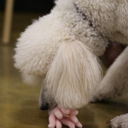 photograph by PeterW